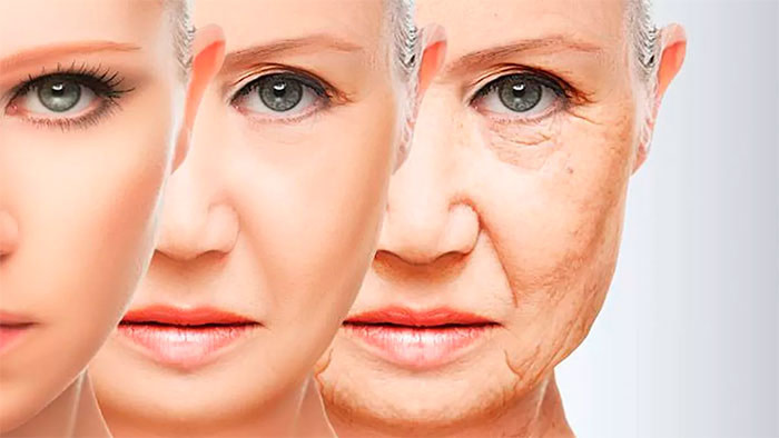 mejores cremas antiarrugas