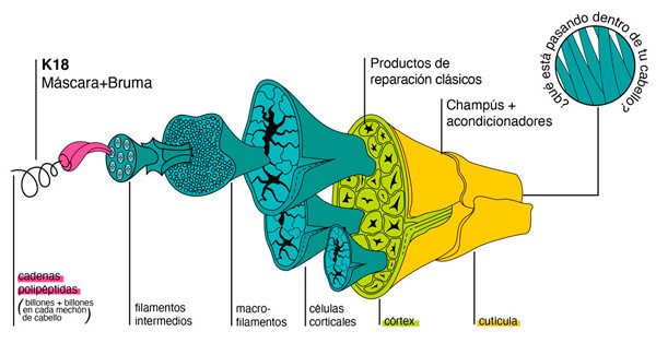 K18 hair funcionamiento